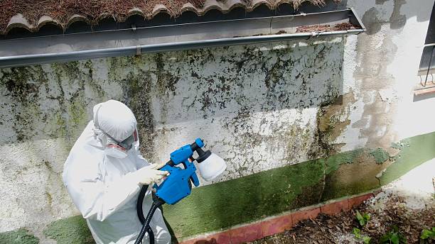 Trusted Mold Removal service in Nottingham, MD - Cheap Mold Removal